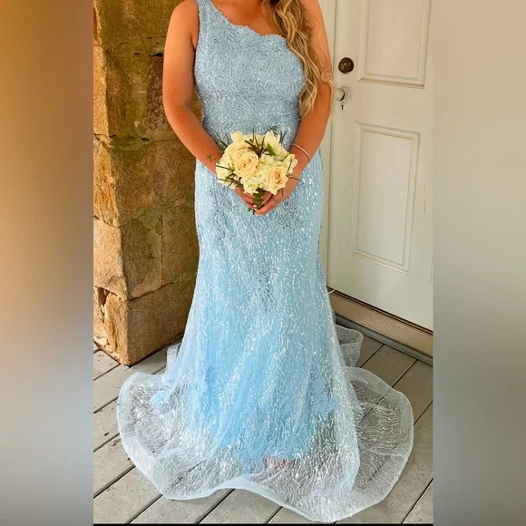 ASHLEY LAUREN ASLA STYLE#11334 PROM/FORMAL/PAGEANT DRESS - Picture 10 of 14